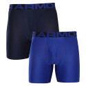 2PACK Boxershorts för herrar Under Armour oversized blå (1363619 400)