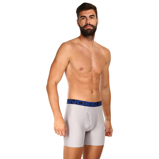 2PACK Boxershorts för herrar Under Armour oversized multicolour (1363619 408)