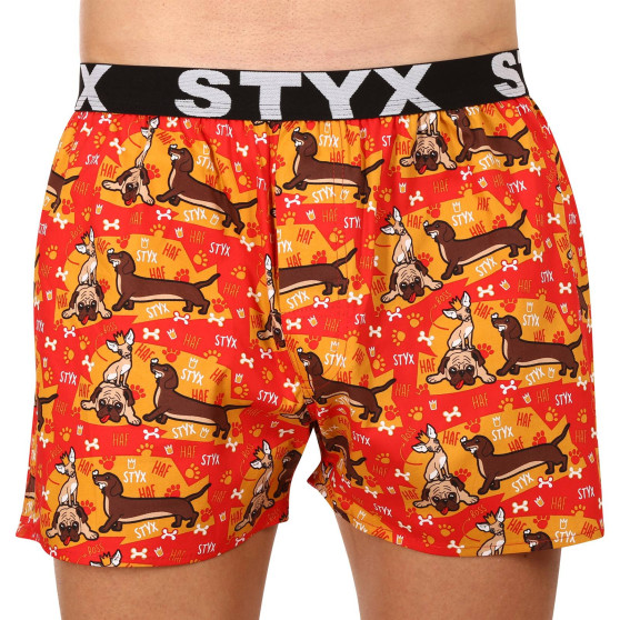 5PACK Boxershorts för herrar Styx art sports gummi flerfärgad (5B1545679)