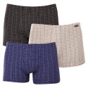 3PACK Boxershorts för herrar Andrie multicolour (PS 5742)