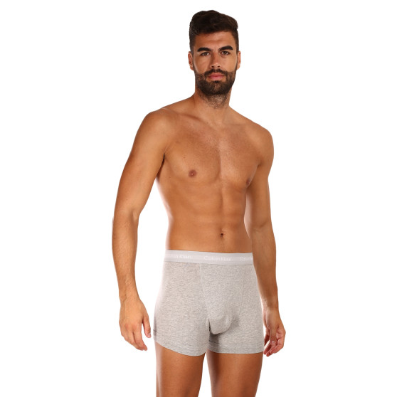 3PACK Boxershorts för herrar Calvin Klein grå (U2662G-080)