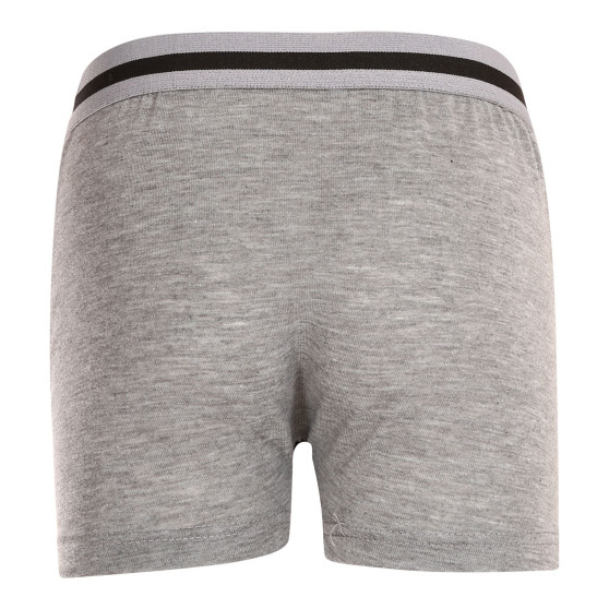 Boxershorts för barn Gianvaglia grå (023)