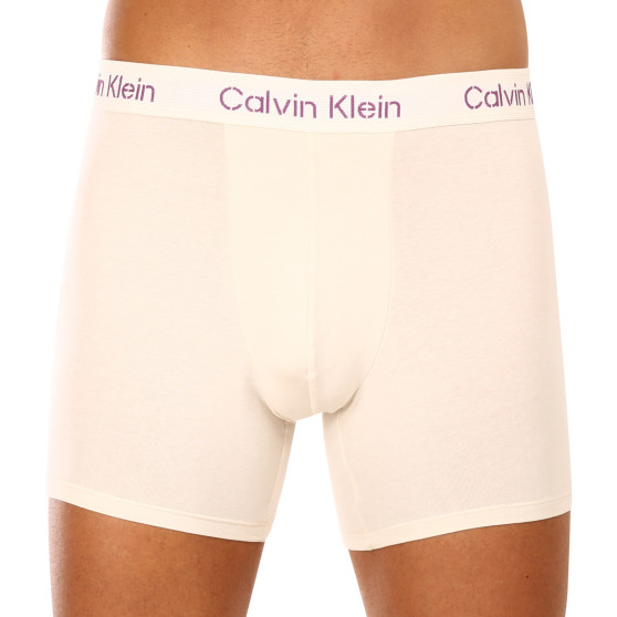 3PACK Boxershorts för herrar Calvin Klein multicolour (NB3706A-FZ4)