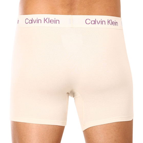 3PACK Boxershorts för herrar Calvin Klein multicolour (NB3706A-FZ4)