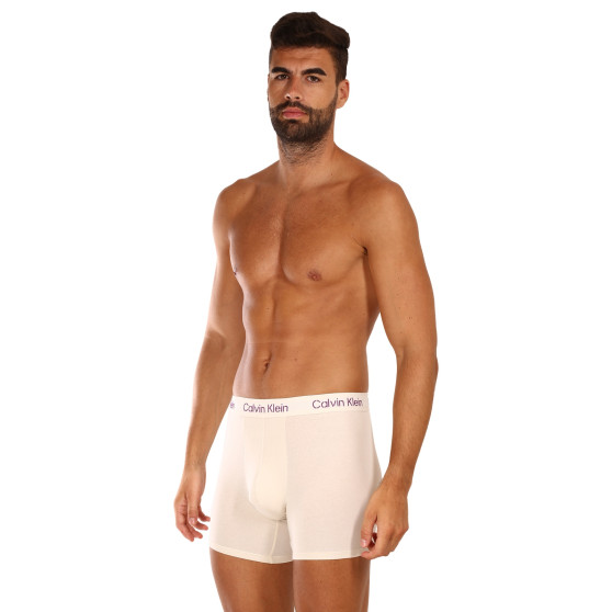 3PACK Boxershorts för herrar Calvin Klein multicolour (NB3706A-FZ4)