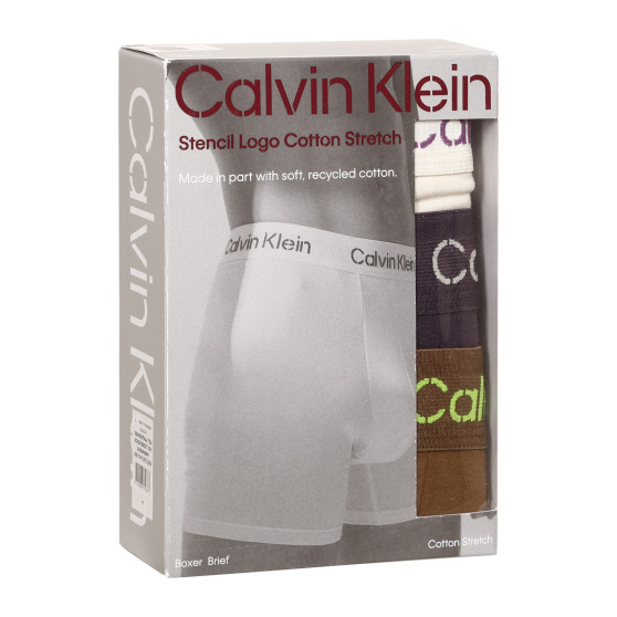 3PACK Boxershorts för herrar Calvin Klein multicolour (NB3706A-FZ4)