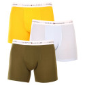 3PACK Boxershorts för herrar Tommy Hilfiger multicolour (UM0UM02941 0W8)