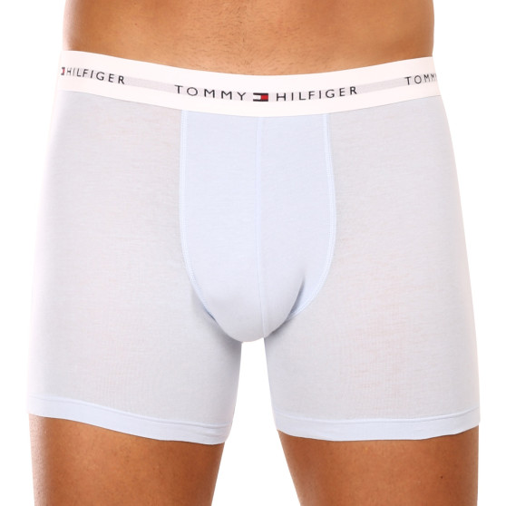 3PACK Boxershorts för herrar Tommy Hilfiger multicolour (UM0UM02941 0W8)