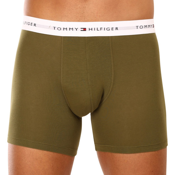 3PACK Boxershorts för herrar Tommy Hilfiger multicolour (UM0UM02941 0W8)