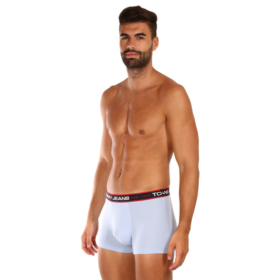 3PACK Boxershorts för herrar Tommy Hilfiger multicolour (UM0UM02968 0R8)