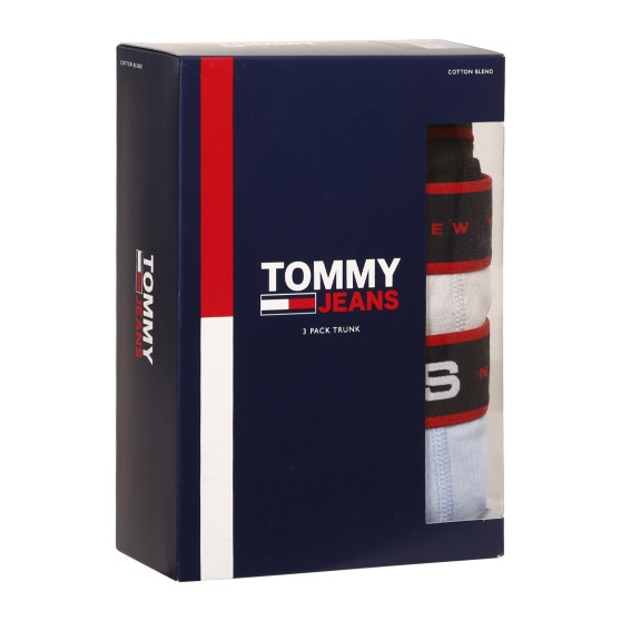 3PACK Boxershorts för herrar Tommy Hilfiger multicolour (UM0UM02968 0R8)