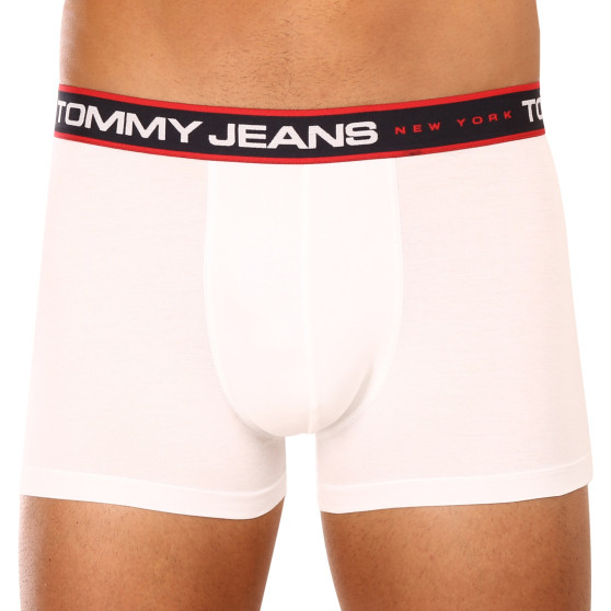 3PACK Boxershorts för herrar Tommy Hilfiger multicolour (UM0UM02968 0WE)