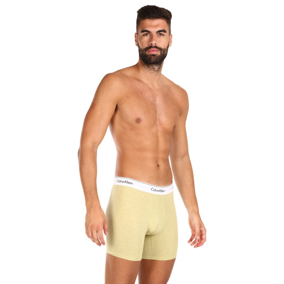 3PACK Boxershorts för herrar Calvin Klein multicolour (NB2381A-GW2)