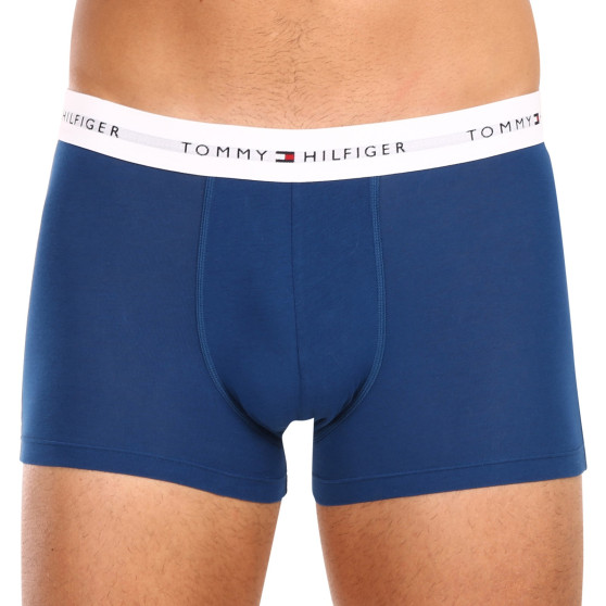 5PACK Boxershorts för herrar Tommy Hilfiger multicolour (UM0UM02767 0YW)