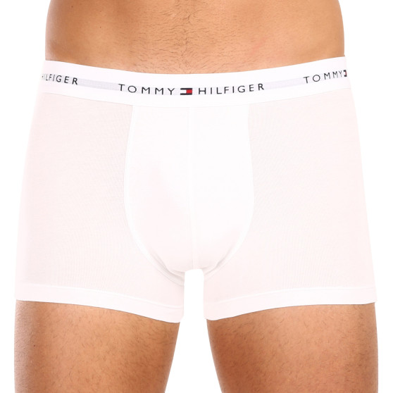 5PACK Boxershorts för herrar Tommy Hilfiger multicolour (UM0UM02767 0YW)