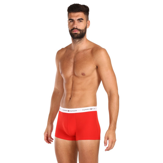 5PACK Boxershorts för herrar Tommy Hilfiger multicolour (UM0UM02767 0YW)