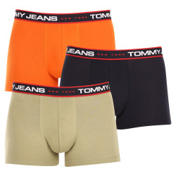 3PACK Boxershorts för herrar Tommy Hilfiger multicolour (UM0UM02968 0SP)