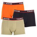 3PACK Boxershorts för herrar Tommy Hilfiger multicolour (UM0UM02968 0SP)