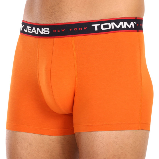 3PACK Boxershorts för herrar Tommy Hilfiger multicolour (UM0UM02968 0SP)