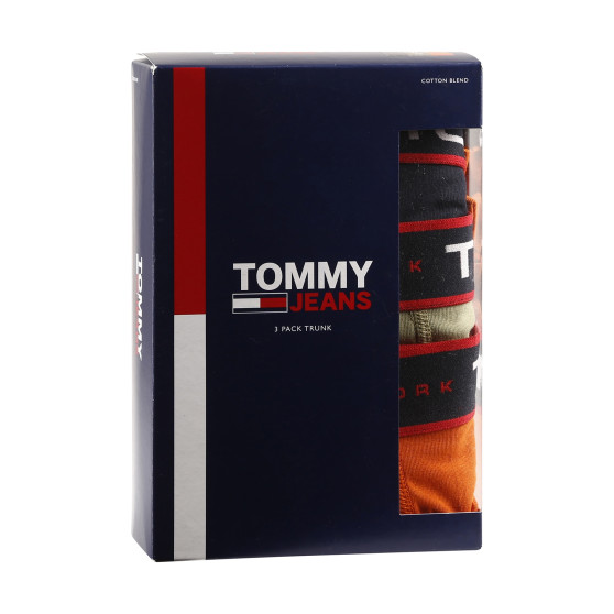 3PACK Boxershorts för herrar Tommy Hilfiger multicolour (UM0UM02968 0SP)