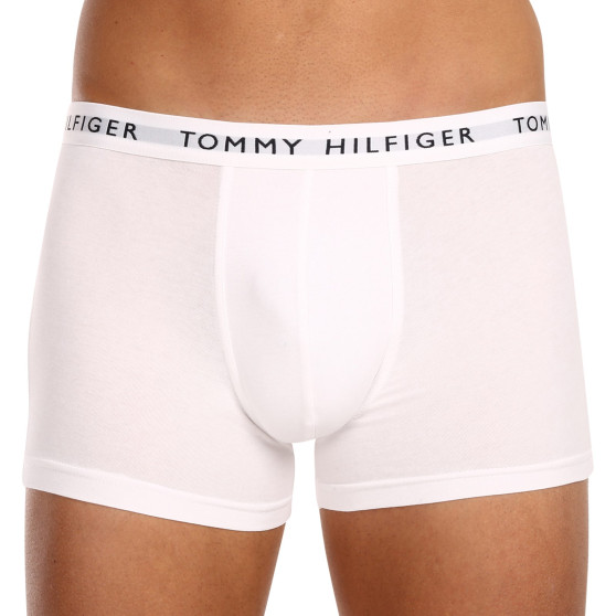 3PACK Boxershorts för herrar Tommy Hilfiger multicolour (UM0UM02203 0WS)