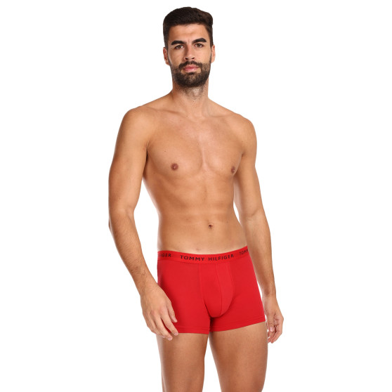 3PACK Boxershorts för herrar Tommy Hilfiger multicolour (UM0UM02203 0WS)