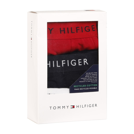 3PACK Boxershorts för herrar Tommy Hilfiger multicolour (UM0UM02203 0WS)