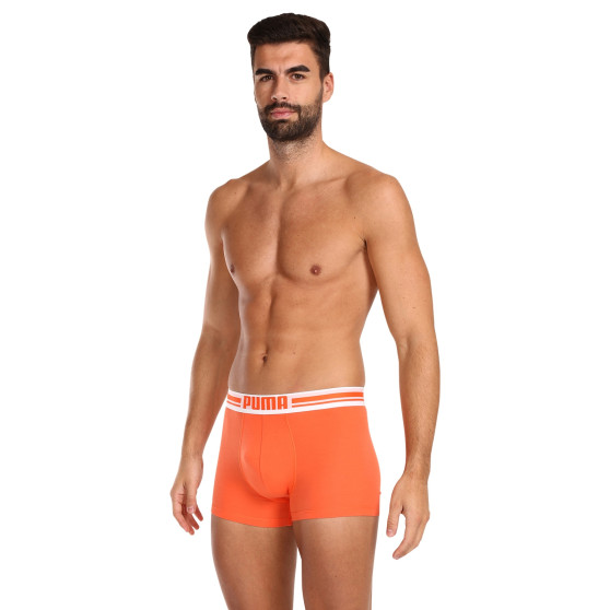 2PACK Boxershorts för herrar Puma multicolour (651003001 034)