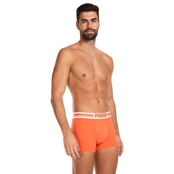 2PACK Boxershorts för herrar Puma multicolour (651003001 034)