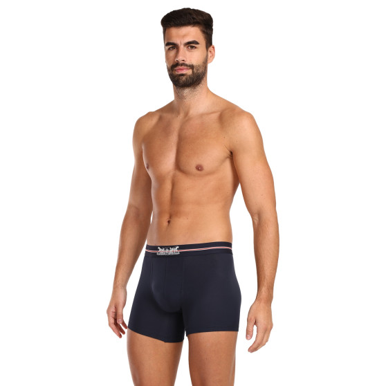 3PACK Boxershorts för herrar Levis multicolour (701224663 001)