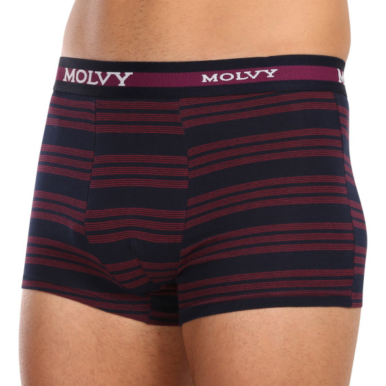 Boxershorts för män Molvy multicolour (MP-1032-BEU)