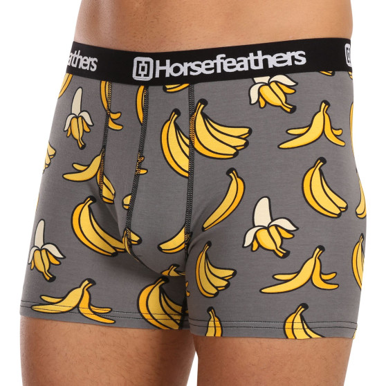 Boxershorts för män Horsefeathers Sidney Bananas (AM164L)