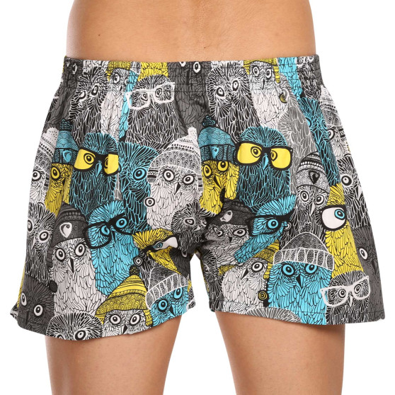 Boxershorts för herrar Represent exklusiv Ali Owls Cool (R3M-BOX-0642)