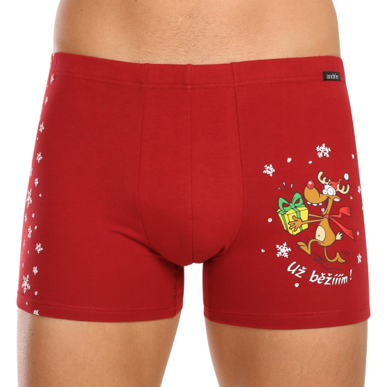 3PACK Boxershorts för herrar Andrie multicolour (PS 5779)