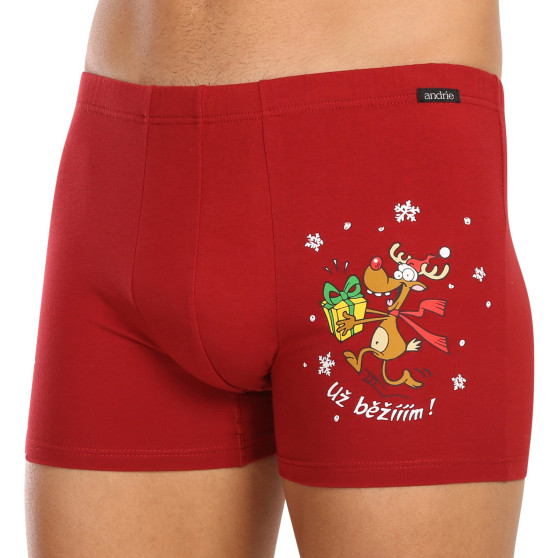 3PACK Boxershorts för herrar Andrie multicolour (PS 5779)