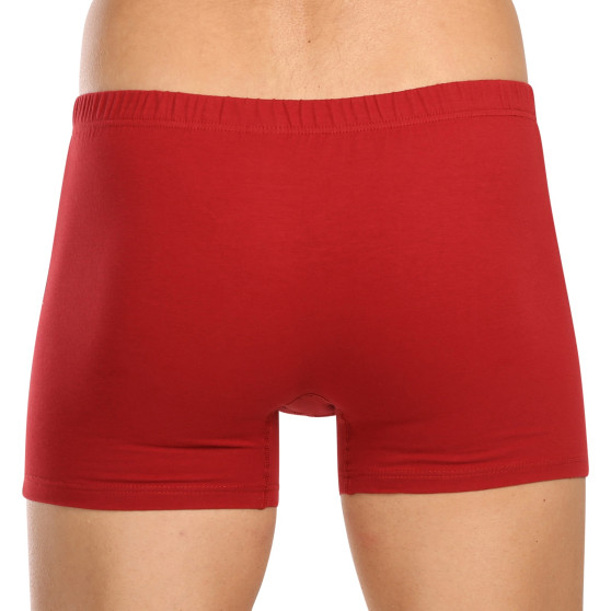 3PACK Boxershorts för herrar Andrie multicolour (PS 5779)