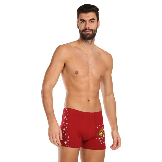 3PACK Boxershorts för herrar Andrie multicolour (PS 5779)