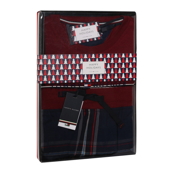 Pyjamas för män Tommy Hilfiger multicolour (UM0UM02995 0WQ)