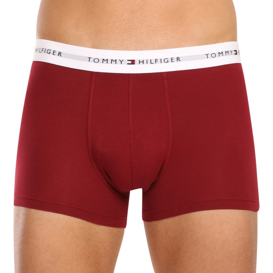 3PACK Boxershorts för herrar Tommy Hilfiger multicolour (UM0UM02761 0SS)