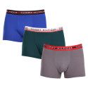 3PACK Boxershorts för herrar Tommy Hilfiger multicolour (UM0UM03007 0UF)