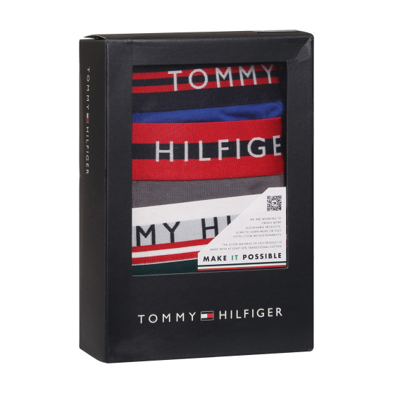 3PACK Boxershorts för herrar Tommy Hilfiger multicolour (UM0UM03007 0UF)