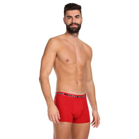 3PACK Boxershorts för herrar Tommy Hilfiger multicolour (UM0UM03007 0X0)