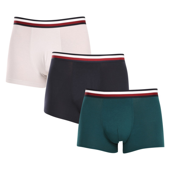 3PACK Boxershorts för herrar Tommy Hilfiger multicolour (UM0UM03035 0T1)