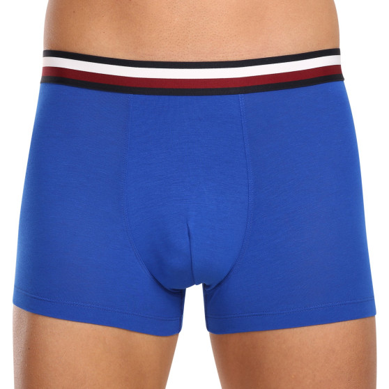 3PACK Boxershorts för herrar Tommy Hilfiger multicolour (UM0UM03035 0UG)