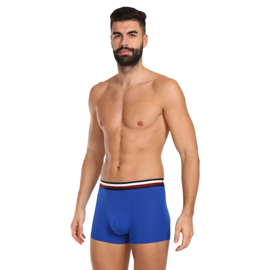 3PACK Boxershorts för herrar Tommy Hilfiger multicolour (UM0UM03035 0UG)