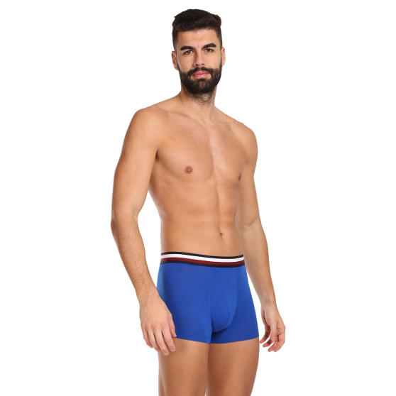 3PACK Boxershorts för herrar Tommy Hilfiger multicolour (UM0UM03035 0UG)