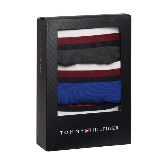 3PACK Boxershorts för herrar Tommy Hilfiger multicolour (UM0UM03035 0UG)