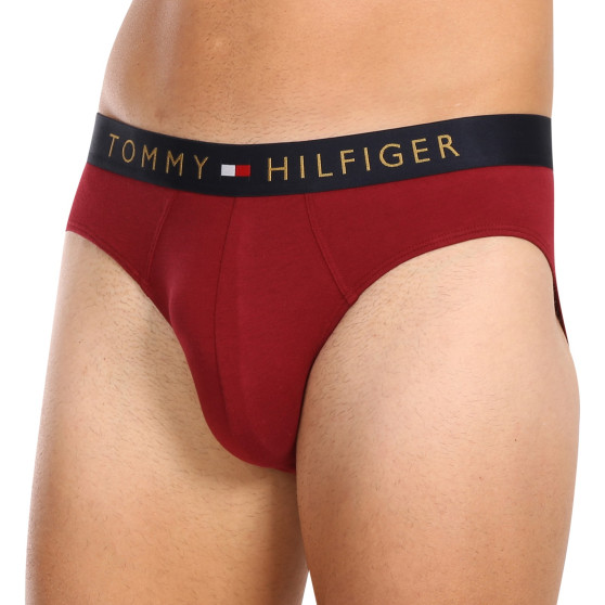 5PACK herrkalsonger Tommy Hilfiger multicolour (UM0UM03037 0WJ)