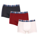 3PACK Boxershorts för herrar Tommy Hilfiger multicolour (UM0UM03041 0XU)