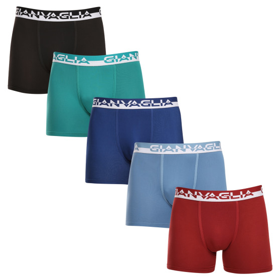 5PACK Boxershorts för herrar Gianvaglia multicolour (GVG-5011)